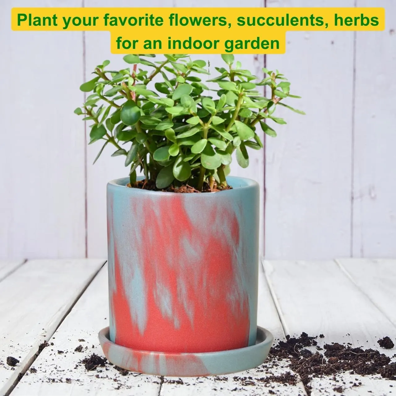 Ceramic Plant Pot