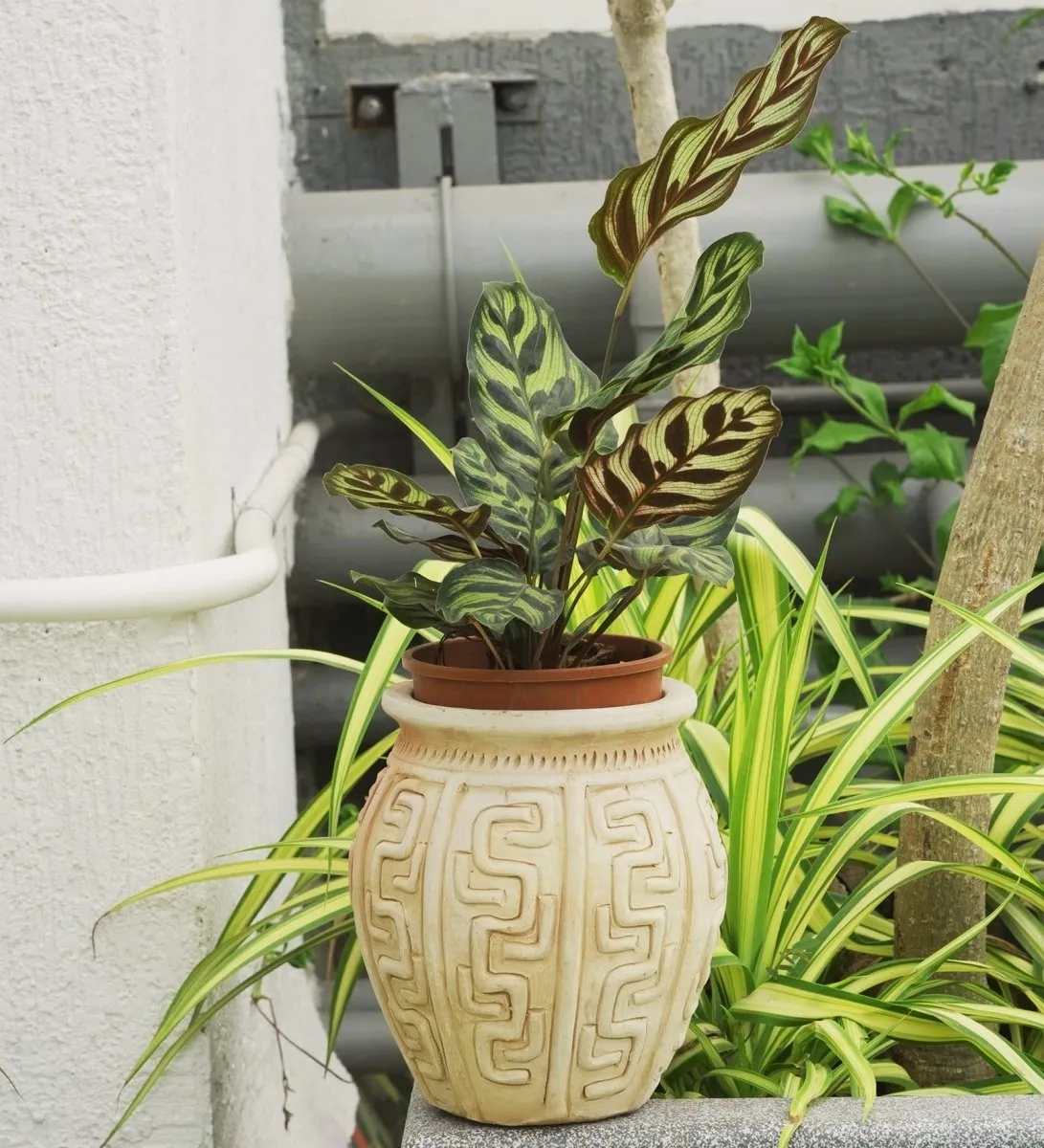 Geo Linea Planter