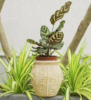 Geo Linea Planter