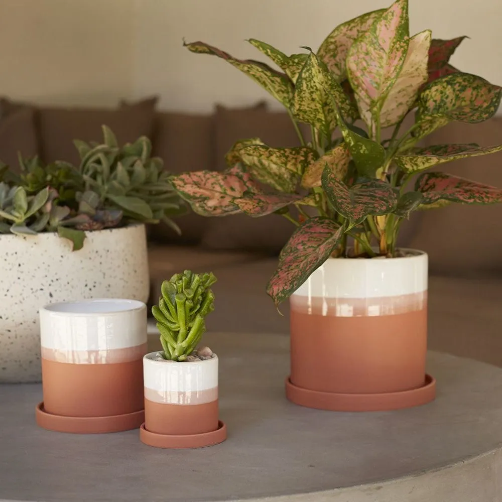 Hadley Pot (Small)