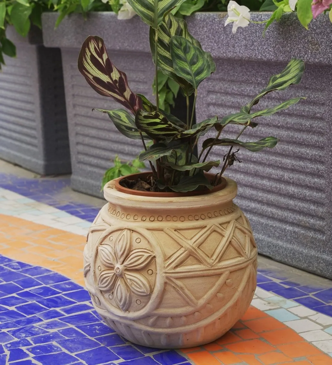 Leaf Foilage Planterp
