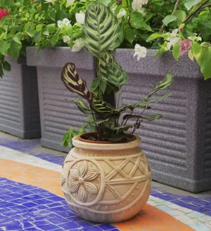 Leaf Foilage Planterp